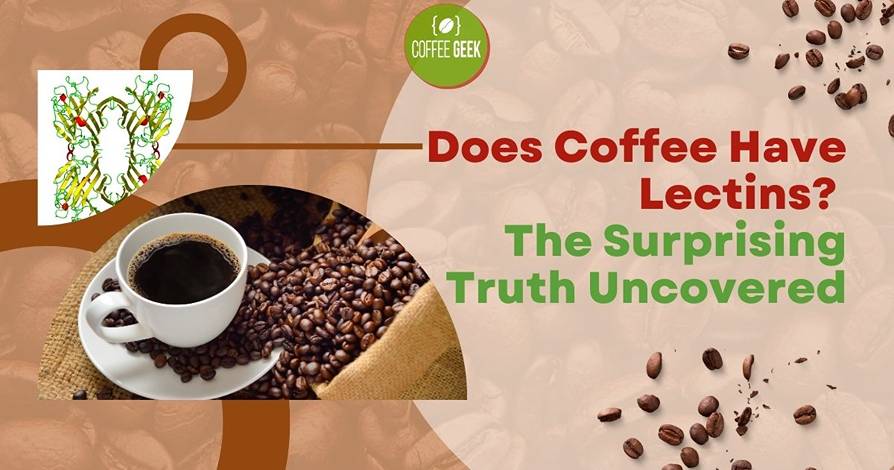 Does Coffee Have Carbs