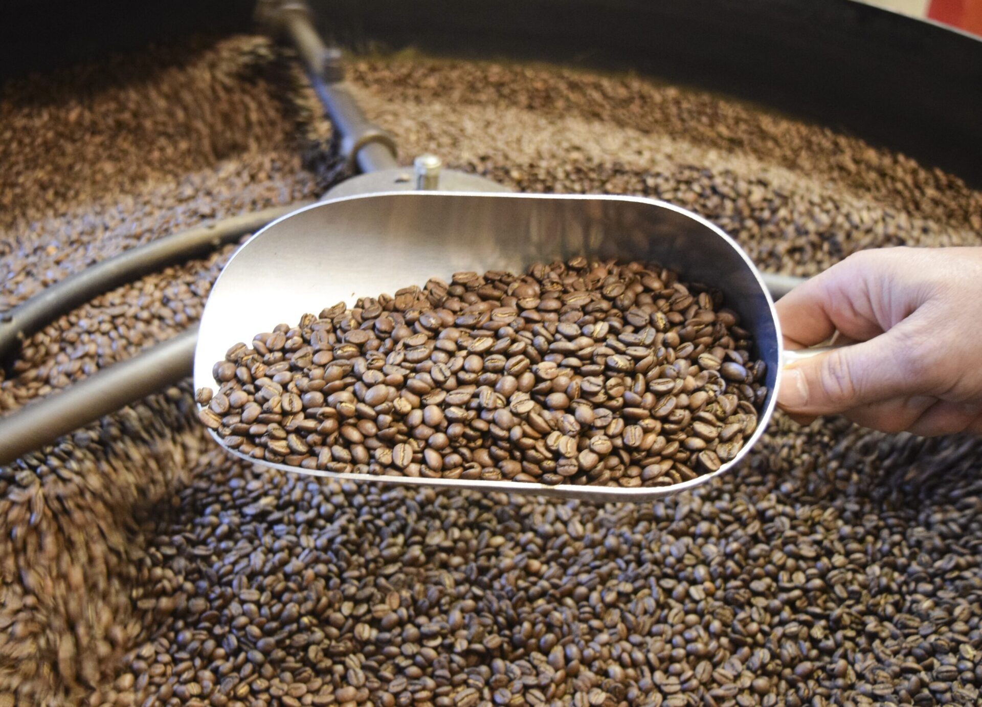 Roast Coffee Beans