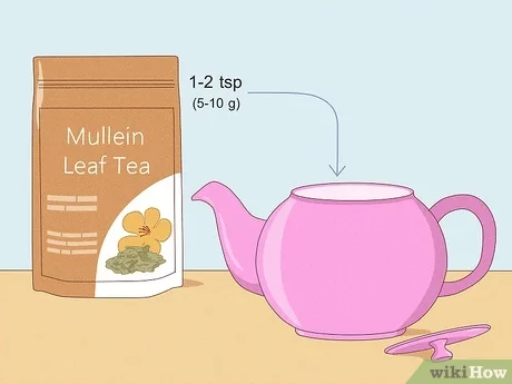 How to Make Mullein Tea: Step-by-Step Guide for Beginners