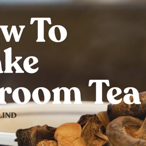 How to Make Tea from Shrooms: A Step-by-Step Guide