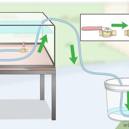 How to Siphon Water: Simple Steps for Effective Results