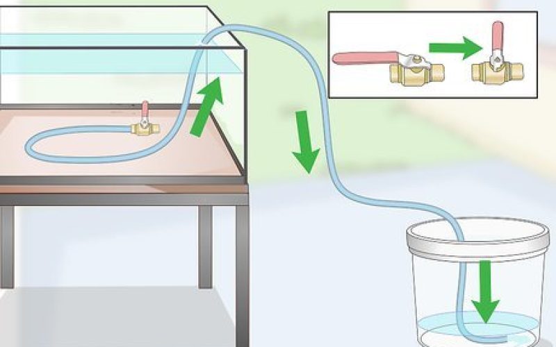 How to Siphon Water: Simple Steps for Effective Results