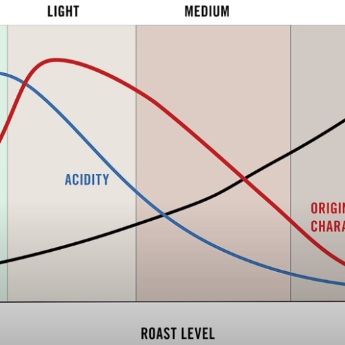 The Artwork of Espresso Roasting: Unveiling Flavorful Transformations