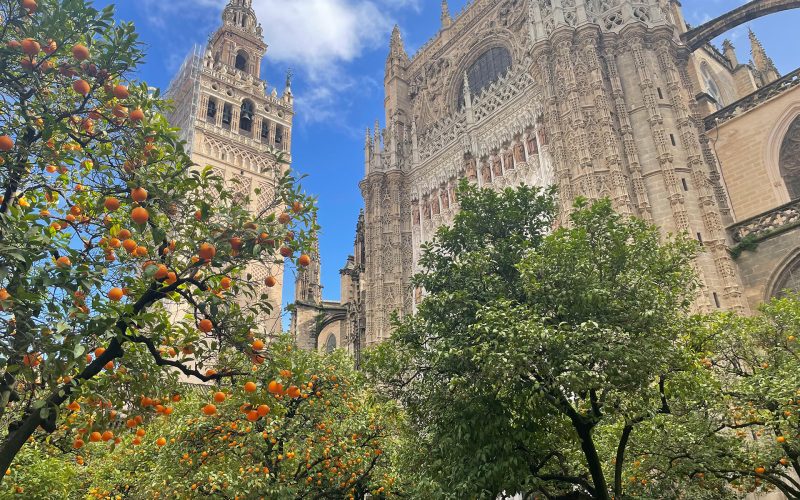 The Sprudge Information To Espresso In Seville, Spain