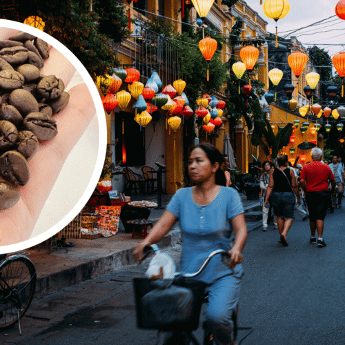 Which Vietnamese Espresso Is The Greatest? Our Prime Picks For 2024